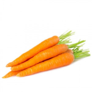 English Carrot
