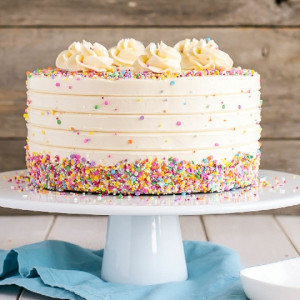 vanilla Normal  Cake
