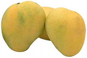 Mango Rajapuri