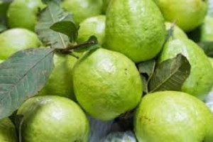 Guava (Peru)