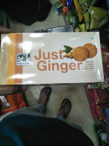 Just Ginger